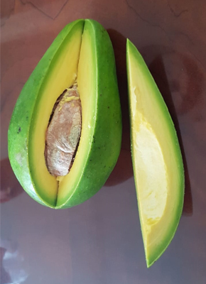 Alpukat Nusa Tenggara Timur 1 - Gajah Semut